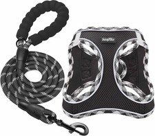 2 designer dog leads and harness complete