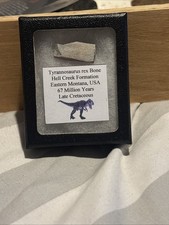 T-REX Caudal Vertebra Bone