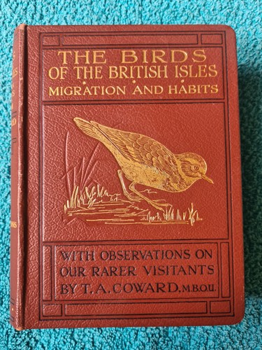 Wayside woodland birds - &, woodland,