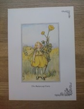 CICELY MARY BARKER - Buttercup