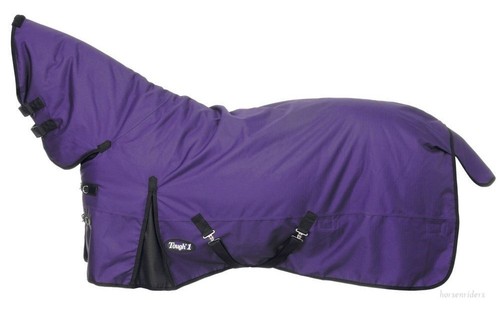 Winter horse turnout blanket - winter,