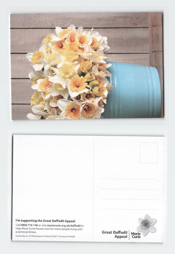 Vintage postcard marie curie - vintage,
