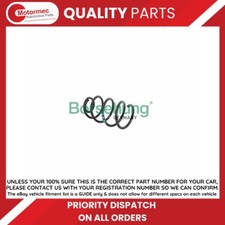Borsehung Germany Coil spring