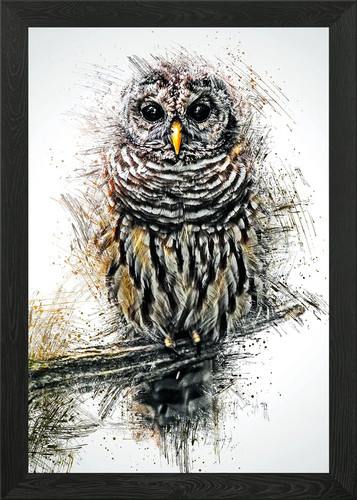 Owl framed wall art poster - 2,