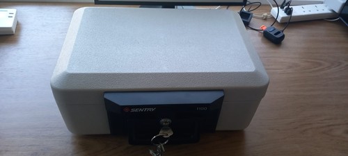 Sentry fire safe 1100 - fire,