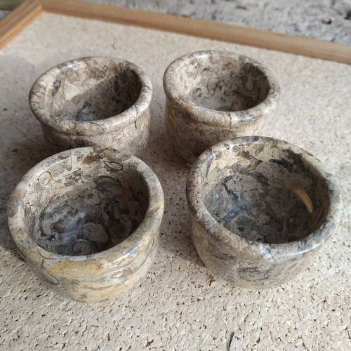 Vintage fossil stone - fossil, egg