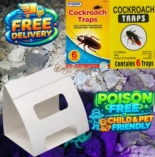 Cockroach glue traps - cockroach,
