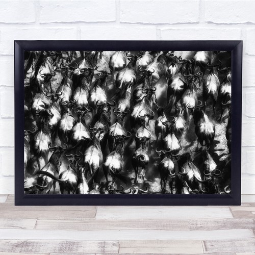 Wildebeest pack tight - wildebeest,