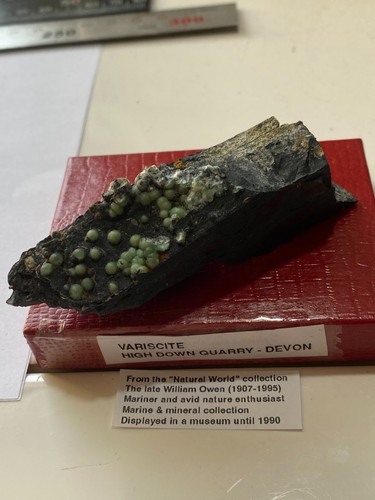 Variscite rare specimen - rare, from