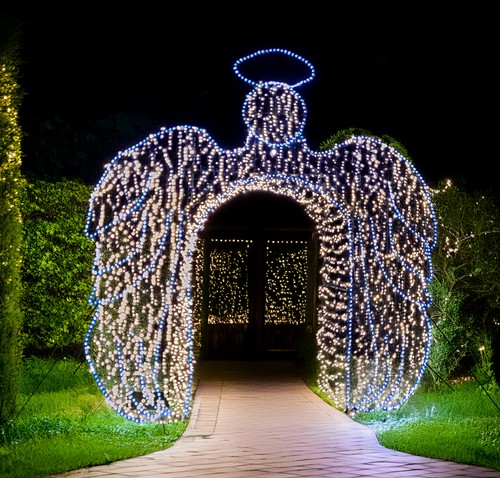 Festive frames angel archway - festive,