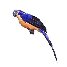 25cm Lifelike Macaw Parrot