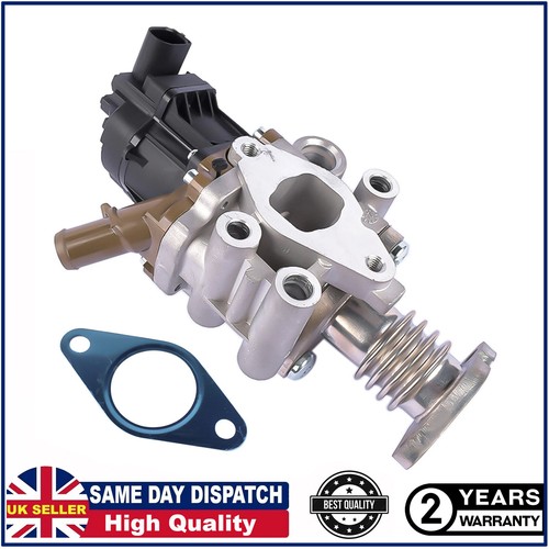 Egr valve for - valve,