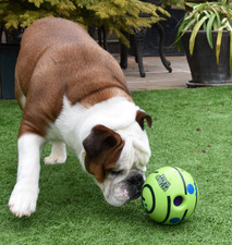 Neat Ideas - Rough, Tough