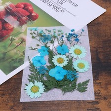  Dried Flower Bookmark Kit
