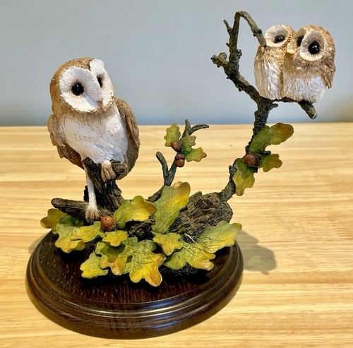Country artists barn owl with - owl,