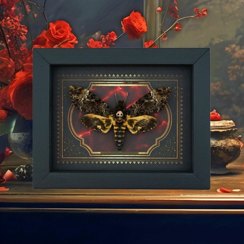 Real gothic death head moth - gothic,