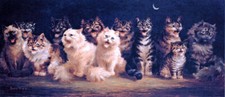 CAT'S CHORUS CAT CHRISTMAS