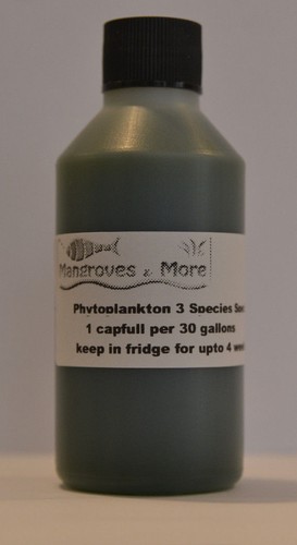 Live marine phytoplankton - live,