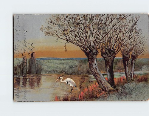 Postcard heron bird - heron, by