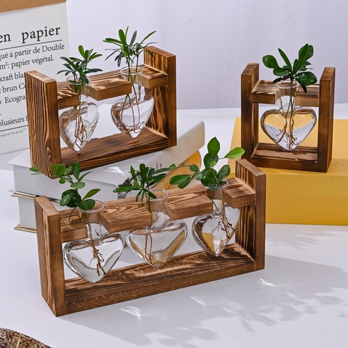 Glass plant terrarium wooden - terrarium,