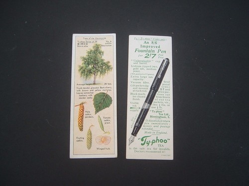Typhoo tea trees - tea,