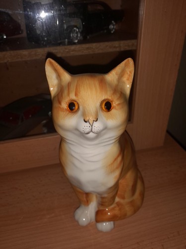 Just cats and - cats, ginger