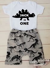 PERSONALISED Baby Boys 1st Birthday Dinosaur Outfit Bodysuit Vest Cake Smash UK
