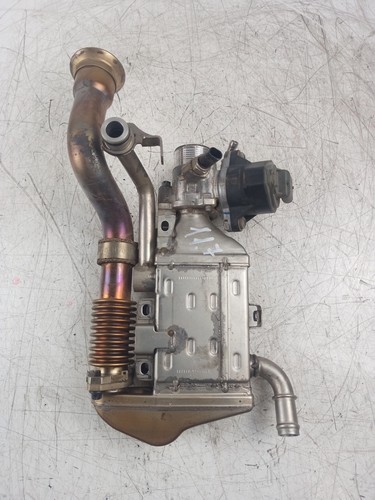 Exhaust gas cooler - , for