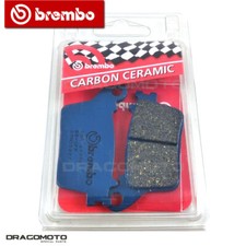 KAWASAKI ZX-10 RR Ninja 2021