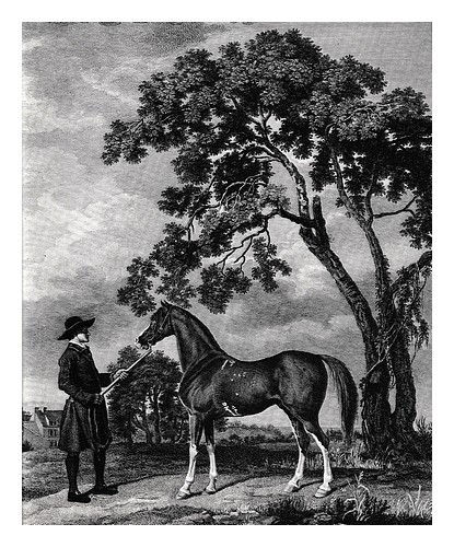 Stubbs george 1724 1806 the - george, 1724-1806