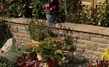 SAMPLE BRADSTONE Landscape
