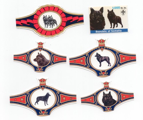 Schipperke collection - schipperke, of