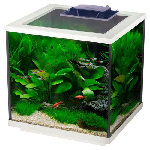 Interpet aqua cube 28l - interpet,