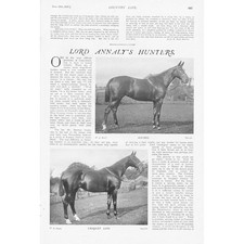 HORSES Lord Annaly's Hunters 2