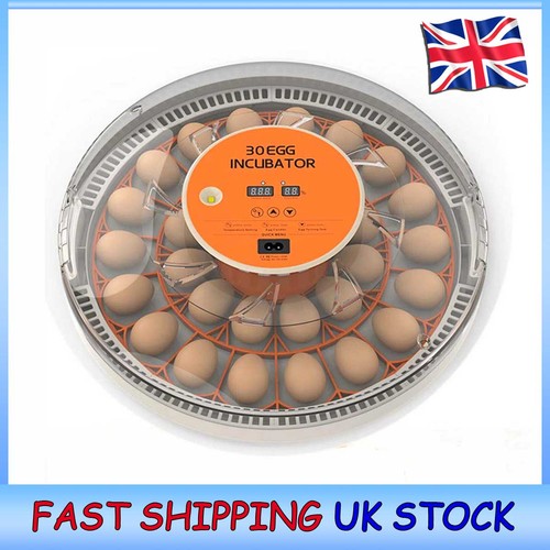 30egg incubator egg candler - 30egg,