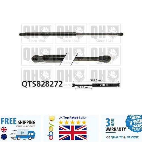 Rear window gas spring - rear,