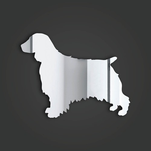 Welsh springer spaniel - springer, style