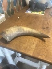 Cow Horn