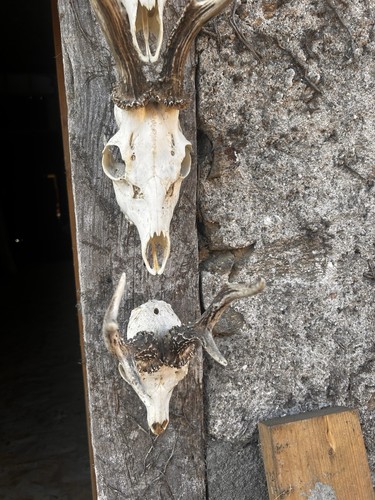 Set antique style deer - set, 5