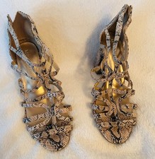   Gladiator M&S - Snakeskin
