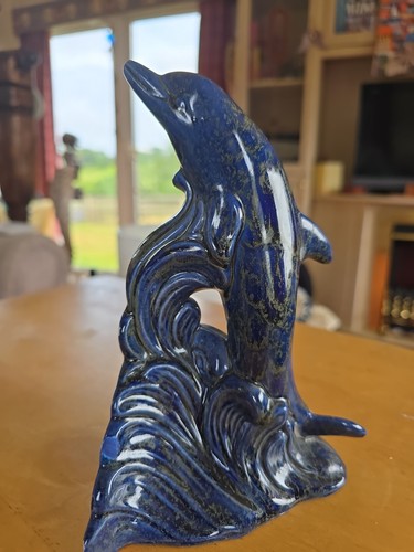 This blue dolphin - , is