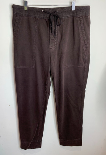 Bnwt james perse jogger - bnwt,