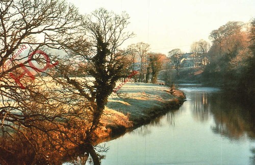 Picture postcard the river - postcard>>the,
