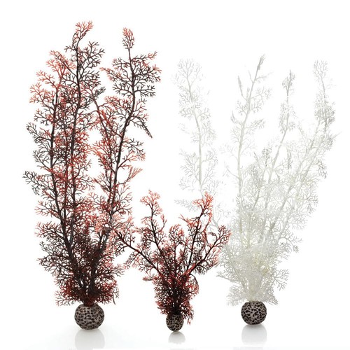 Oase biorb sea fan aquarium - oase,