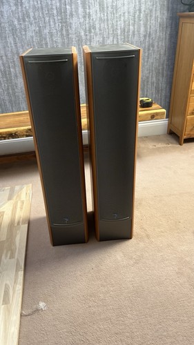 Focal chora 816 - chora,