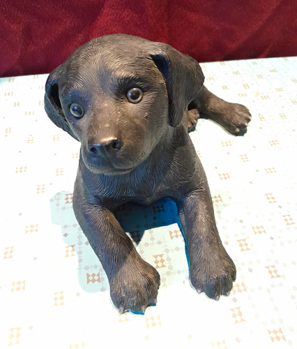 Puppy dog large - dog,