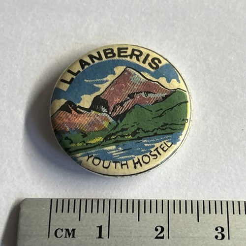 Vintage small collectible pin - vintage,