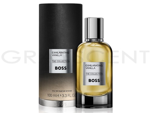 Hugo boss the collection - the,