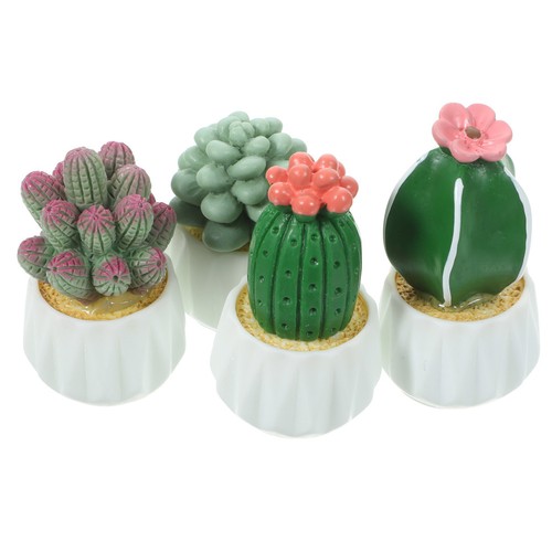 Pcs miniature cactus - miniature,