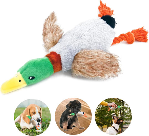 Dog toys cute plush - toys, sound